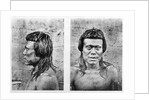 Portrait and profile of Bororo man of central Brazil by German Photographer