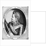 Vincenzo Gonzaga, Duke of Mantua, 1597 by Dominicus or Custodis Custos