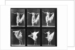 ancing Woma by Eadweard Muybridge