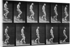 Man descending stairs by Eadweard Muybridge