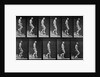 Man descending stairs by Eadweard Muybridge