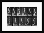 Man descending stairs by Eadweard Muybridge