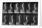 Man descending stairs by Eadweard Muybridge