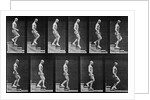 Man descending stairs by Eadweard Muybridge