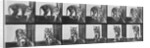 Tiger pacing by Eadweard Muybridge