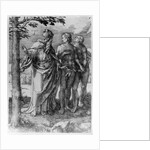 The First Prohibition, 1529 by Lucas van Leyden