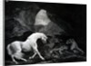 A Horse startled by a Lioness, engraved by Benjamin Green, 1774 by George (after) Stubbs