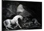 A Horse startled by a Lioness, engraved by Benjamin Green, 1774 by George (after) Stubbs