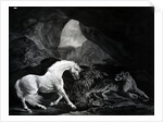 A Horse startled by a Lioness, engraved by Benjamin Green, 1774 by George (after) Stubbs