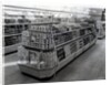 Interior of a Woolworths store, 1956 by English Photographer
