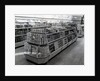 Interior of a Woolworths store, 1956 by English Photographer