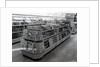 Interior of a Woolworths store, 1956 by English Photographer