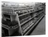 Paint and brushes aisle, Woolworths store, 1956 by English Photographer