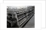 Paint and brushes aisle, Woolworths store, 1956 by English Photographer