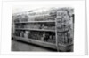 Household requisites aisle, Woolworths store, 1956 by English Photographer