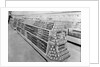 Tinned foods aisle, Woolworths store, 1956 by English Photographer