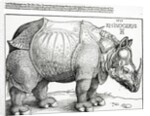 The Rhinoceros, 1515 by Albrecht Dürer or Duerer