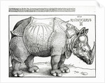 The Rhinoceros, 1515 by Albrecht Dürer or Duerer