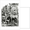St. Eustace, 1501 by Albrecht Dürer or Duerer
