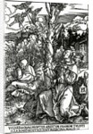 St. Francis receiving the Stigmata, c.1503-4 by Albrecht Dürer or Duerer