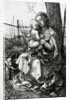 The Virgin and Child seated under a tree, 1513 by Albrecht Dürer or Duerer