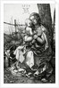 The Virgin and Child seated under a tree, 1513 by Albrecht Dürer or Duerer