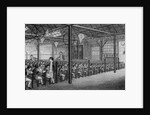 The Royal Free School by English School