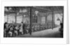 The Royal Free School by English School