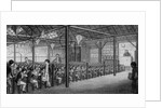 The Royal Free School by English School