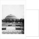 The Royal Albert Hall, London, c.1880's by English Photographer