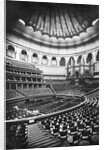 The Royal Albert Hall, London, c.1880's by English Photographer