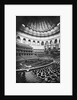 The Royal Albert Hall, London, c.1880's by English Photographer