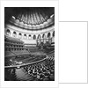 The Royal Albert Hall, London, c.1880's by English Photographer