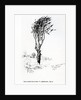 Beech, Godshill Church behind. Fr. Appledurcombe. July 25, c.1860's by Gerard Manley Hopkins