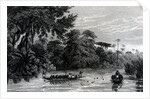 Canoes on the Niger River by English School