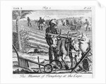 The Manner of Ploughing at the Cape, an illustration in 'The Present State of the Cape of Good-Hope: vol II', published 1731 by German School