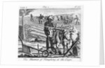 The Manner of Ploughing at the Cape, an illustration in 'The Present State of the Cape of Good-Hope: vol II', published 1731 by German School