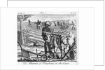 The Manner of Ploughing at the Cape, an illustration in 'The Present State of the Cape of Good-Hope: vol II', published 1731 by German School