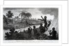 Robinson Crusoe releases a Savage, whom he afterwards calls Friday by English School