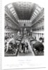 The Hunterian Museum by Thomas Hosmer Shepherd
