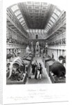 The Hunterian Museum by Thomas Hosmer Shepherd
