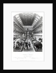 The Hunterian Museum by Thomas Hosmer Shepherd