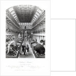 The Hunterian Museum by Thomas Hosmer Shepherd