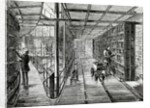 The Book-Cases at the British Museum by English School
