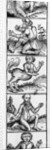 Monsters from the 'Nuremberg Chronicle' by Hartmann Schedel, published 1493 by Michael Wolgemut or Wolgemuth