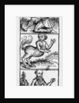 Monsters from the 'Nuremberg Chronicle' by Hartmann Schedel, published 1493 by Michael Wolgemut or Wolgemuth