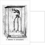 A Warning to Enthusiasts by Edward Tennyson Reed