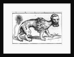 Manticore from 'Historie of Foure-Footed Beastes' by Edward Topsell, published 1607 by Edward Topsell
