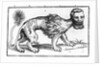 Manticore from 'Historie of Foure-Footed Beastes' by Edward Topsell, published 1607 by Edward Topsell