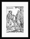 Natives of Algoa, 1508 by Hans Burgkmair